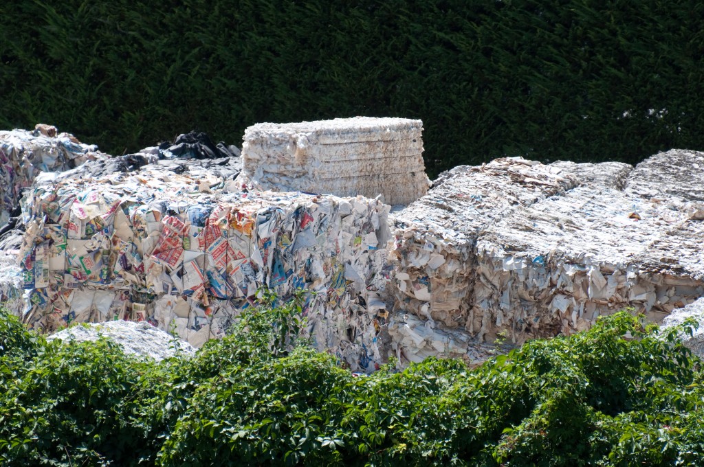 paper recycling