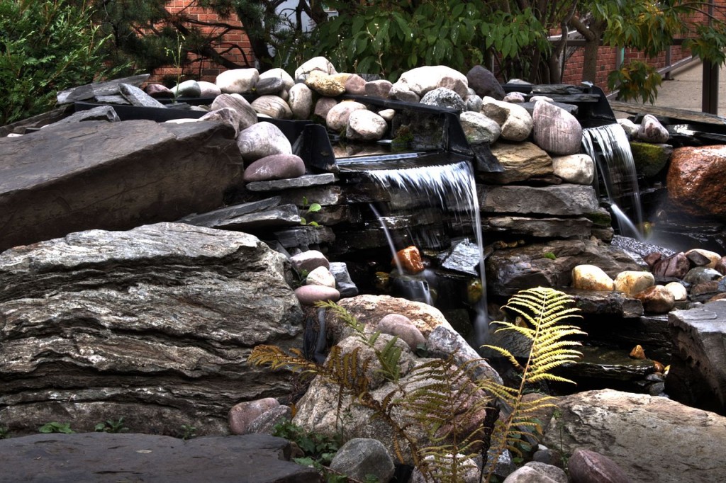 Garden pond 1